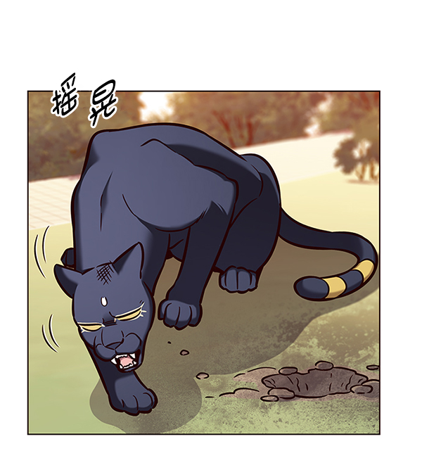 觉醒吧铲屎官335漫画,第162话1图