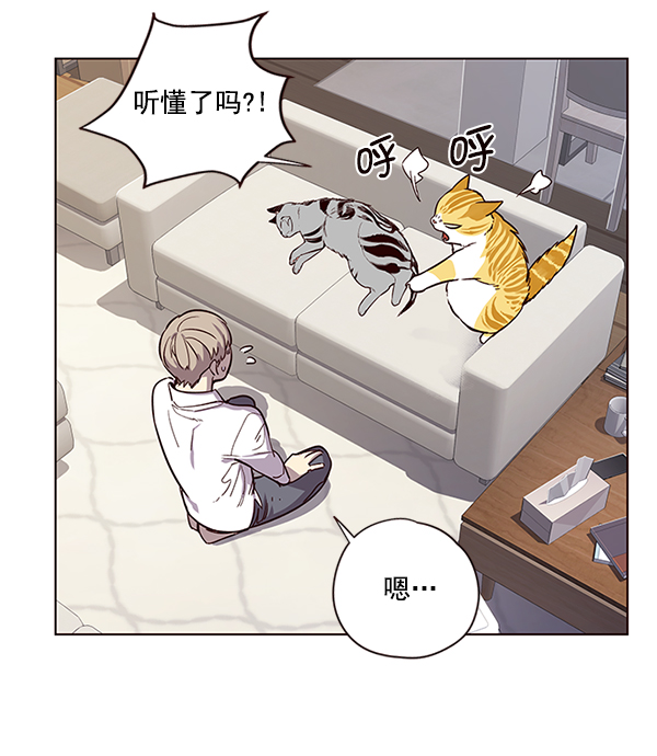 觉醒吧铲屎官漫画免费观看180话漫画,第6话2图