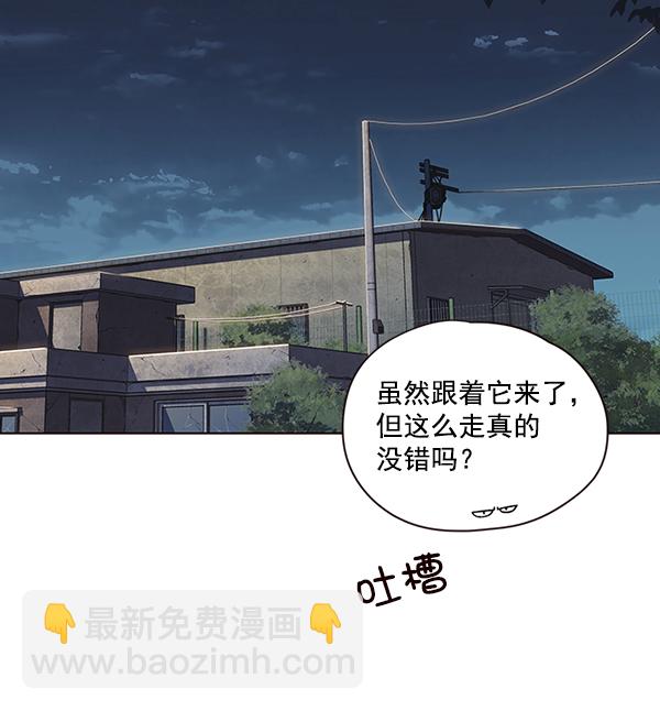 觉醒吧铲屎官漫画免费观看180话漫画,第41话1图