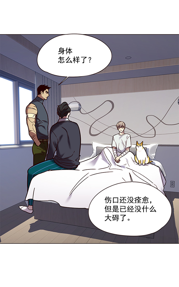 铲屎官!漫画在线观看漫画,第89话1图