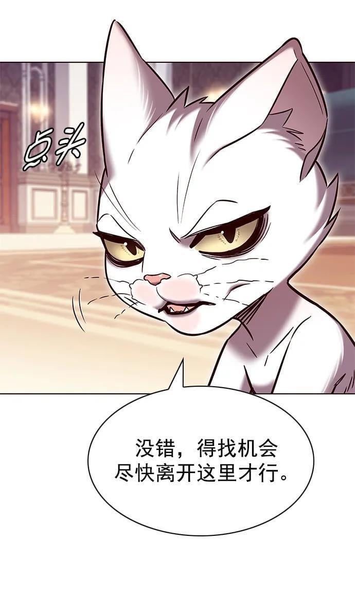 铲屎官!漫画在线观看漫画,第256话1图