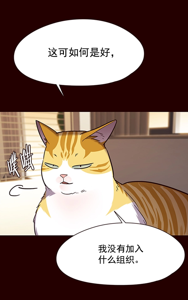 觉醒吧铲屎官335漫画,第96话1图