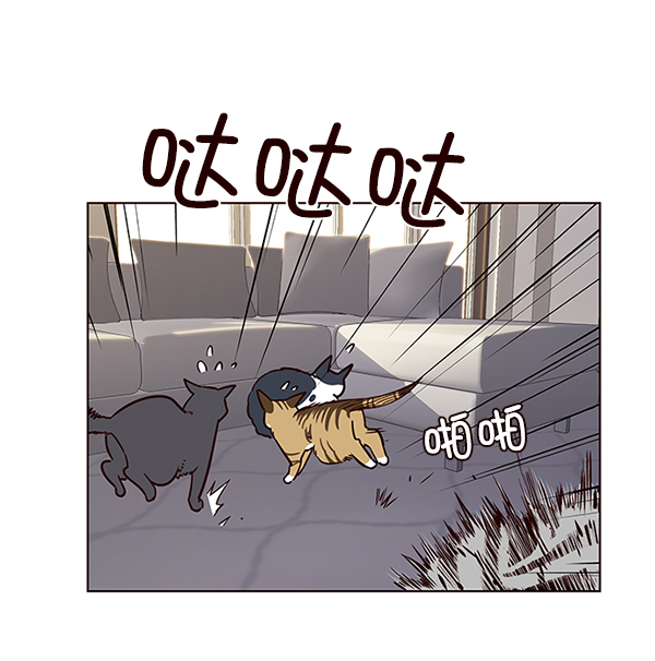 觉醒吧铲屎官漫画免费观看180话漫画,第7话2图