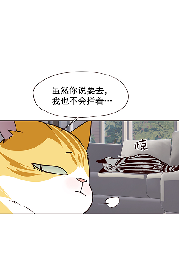 觉醒吧铲屎官漫画免费观看180话漫画,第37话1图