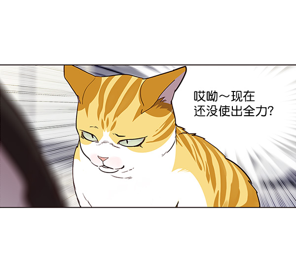 觉醒吧铲屎官漫画免费观看180话漫画,第26话1图