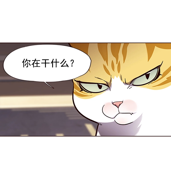 觉醒吧铲屎官335漫画,第50话2图