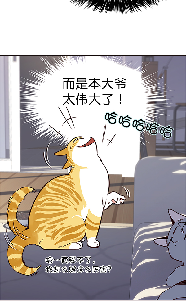 觉醒吧铲屎官335漫画,第9话1图