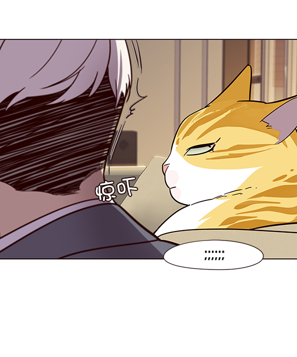 觉醒吧铲屎官335漫画,第49话2图