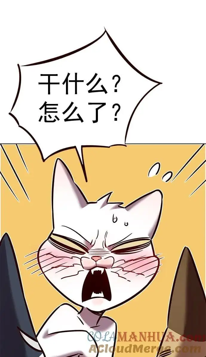 觉醒吧铲屎官335漫画,第262话2图