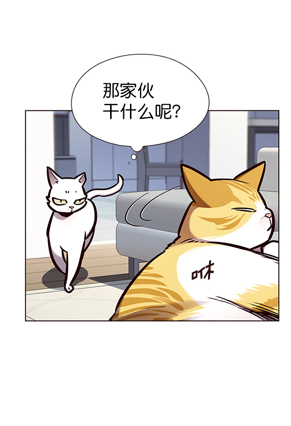 觉醒吧铲屎官335漫画,第144话1图