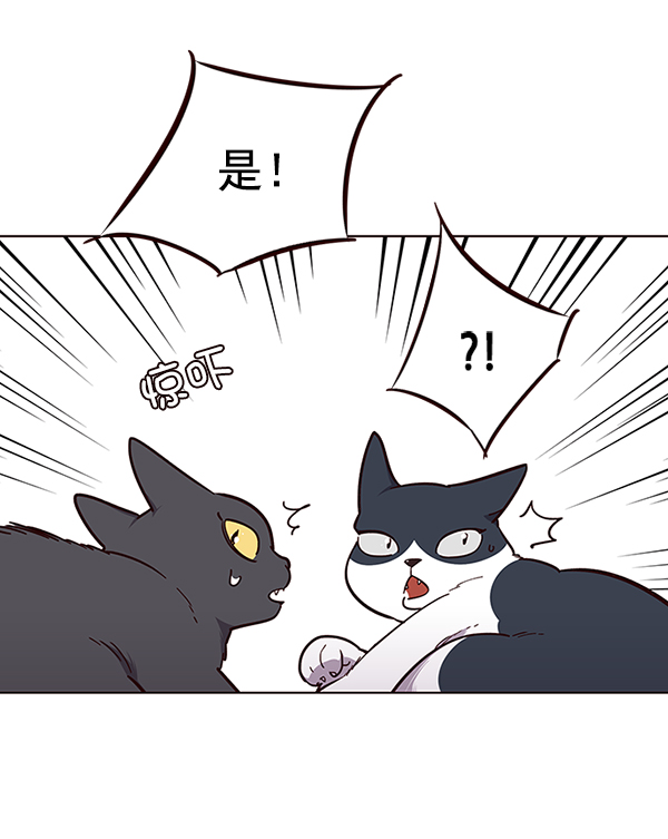 觉醒吧铲屎官335漫画,第50话2图