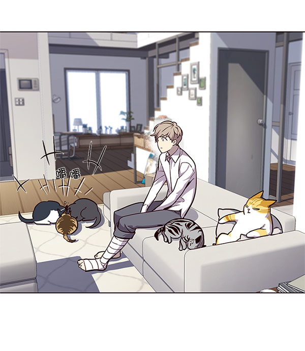 觉醒吧铲屎官335漫画,第17话1图