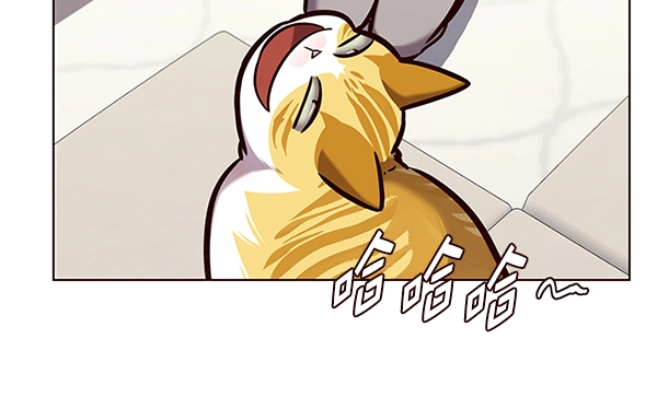 觉醒吧铲屎官335漫画,第186话1图