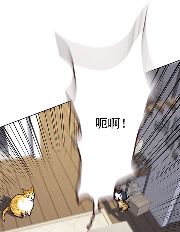 觉醒吧铲屎官335漫画,第58话2图