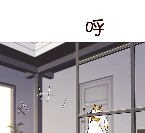 觉醒吧铲屎官335漫画,第64话2图