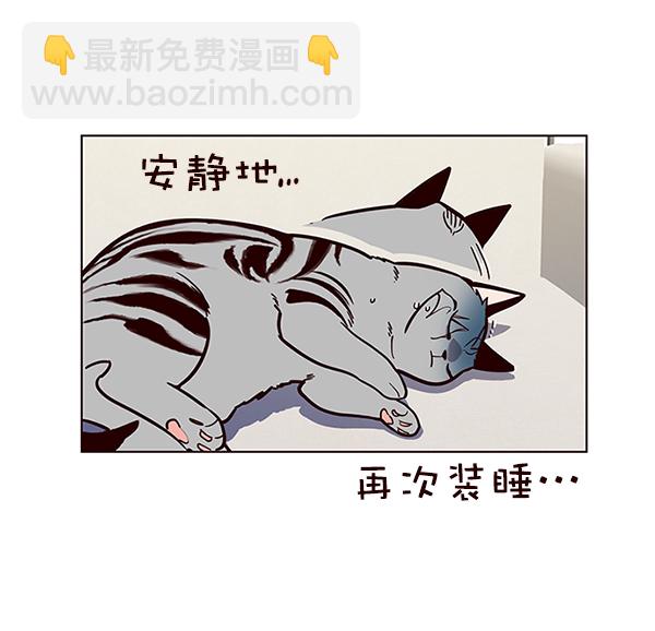 觉醒吧铲屎官335漫画,第16话1图