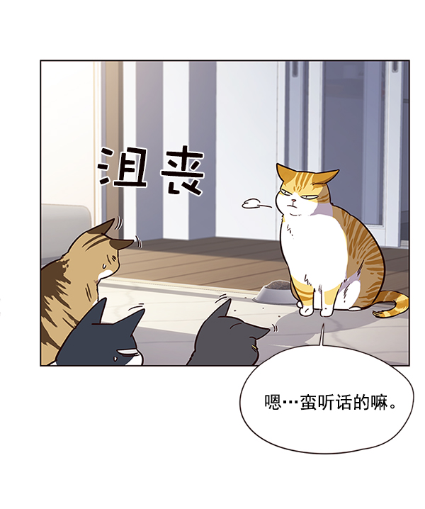觉醒吧铲屎官335漫画,第9话1图