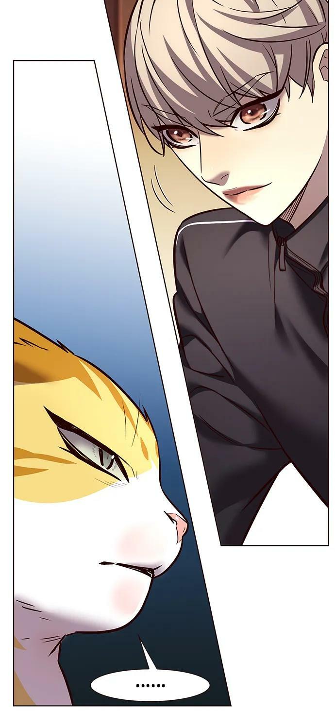 觉醒吧铲屎官漫画免费观看180话漫画,第242话1图