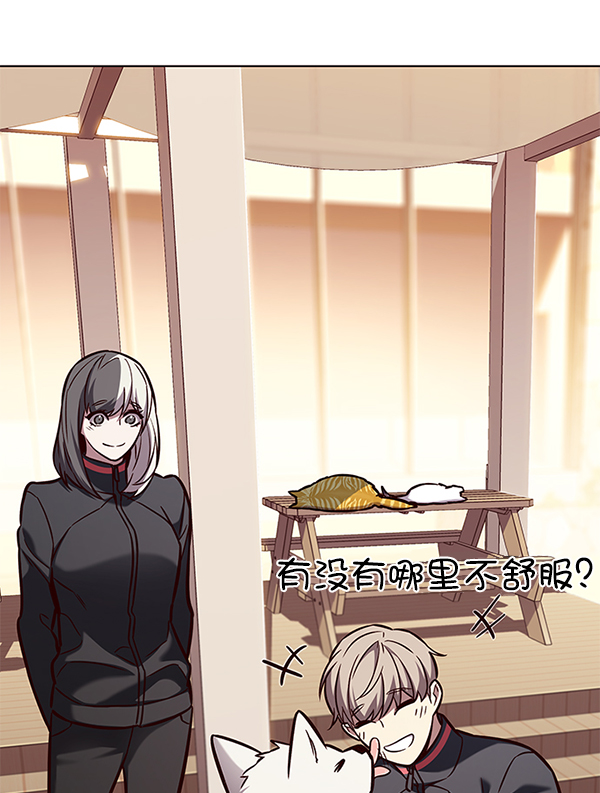 觉醒吧铲屎官335漫画,第168话1图