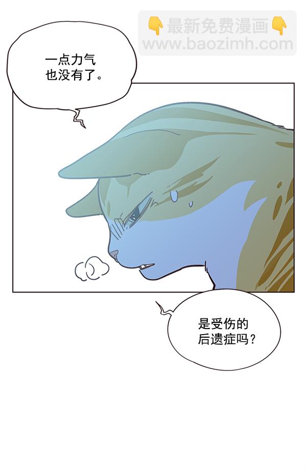 觉醒吧铲屎官漫画免费观看180话漫画,第11话2图