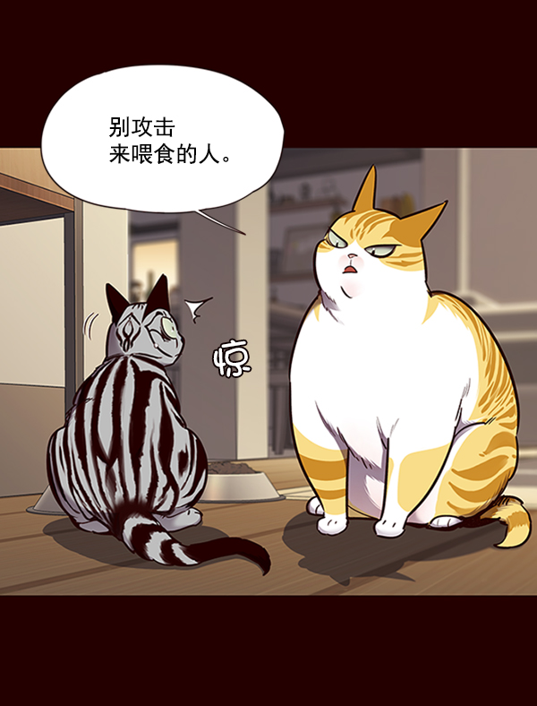 觉醒吧铲屎官漫画免费观看180话漫画,第67话1图