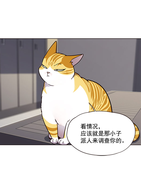 觉醒吧铲屎官335漫画,第63话2图