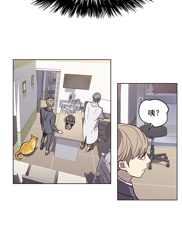 觉醒吧铲屎官漫画免费观看180话漫画,第10话1图