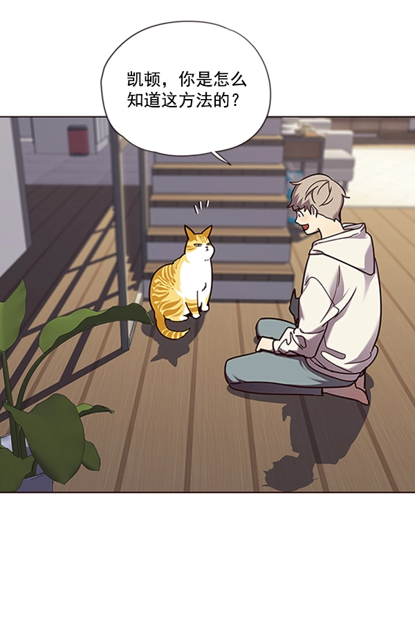 觉醒吧铲屎官335漫画,第64话1图