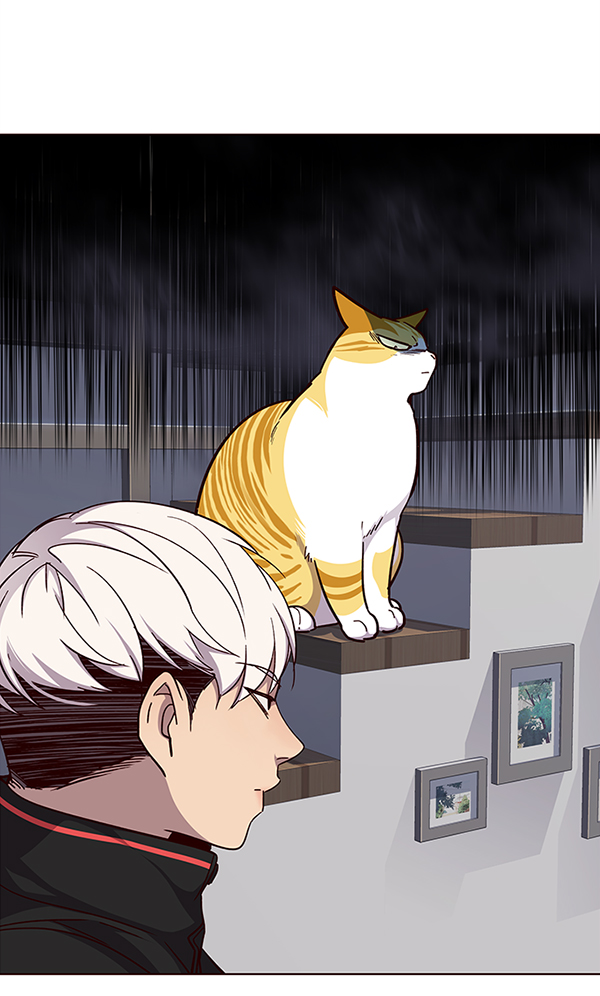 觉醒吧铲屎官335漫画,第35话2图