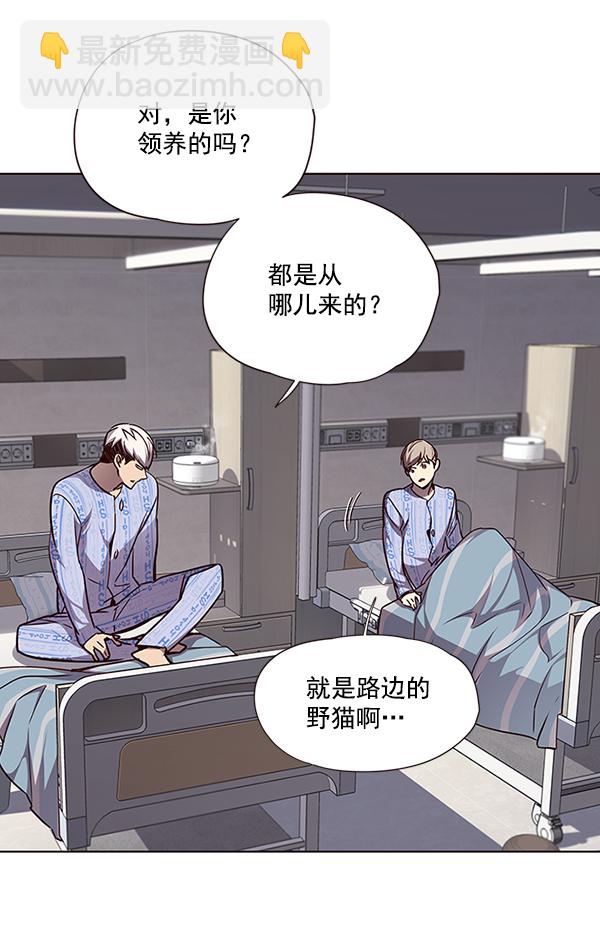 觉醒吧铲屎官335漫画,第46话1图