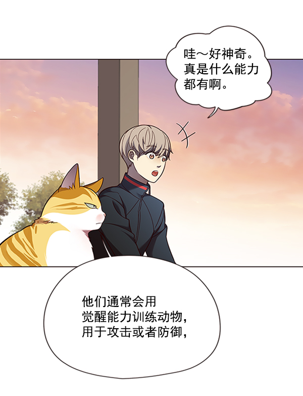 觉醒吧铲屎官漫画免费观看180话漫画,第81话1图
