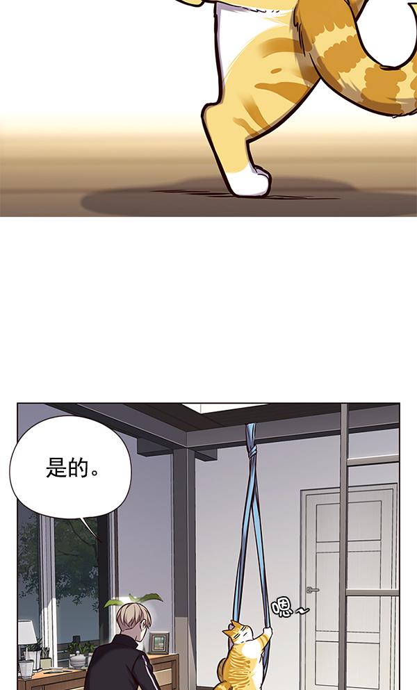 觉醒吧铲屎官头像漫画,第118话1图