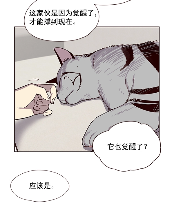 觉醒吧铲屎官294漫画,第6话1图