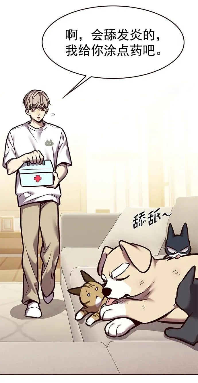 觉醒吧铲屎官335漫画,第294话2图