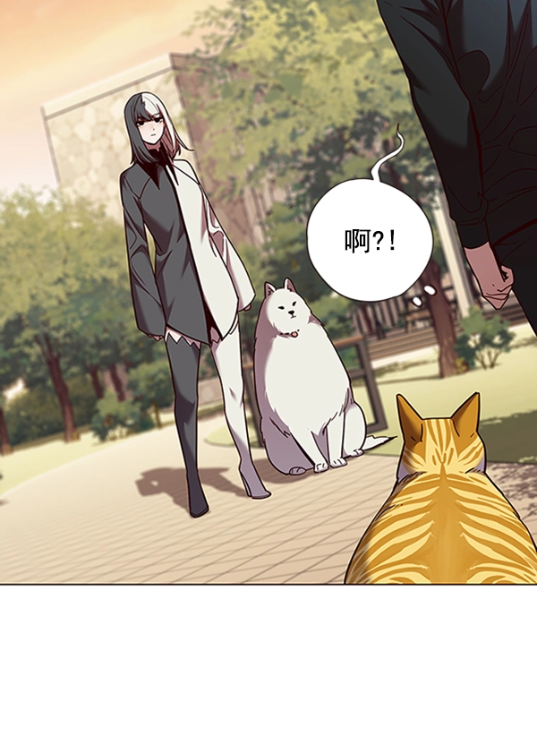 觉醒吧铲屎官漫画免费观看180话漫画,第81话2图