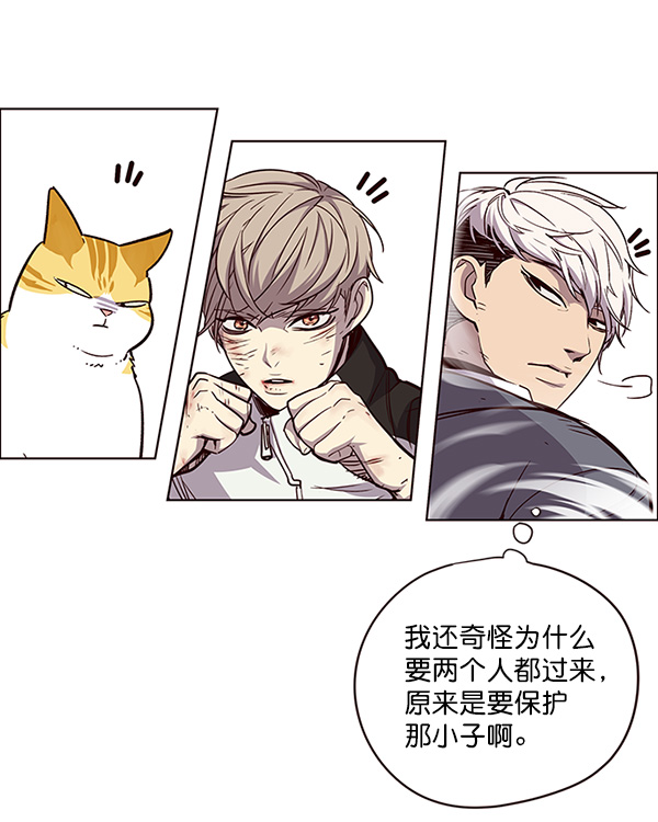 觉醒吧铲屎官漫画免费观看180话漫画,第26话1图