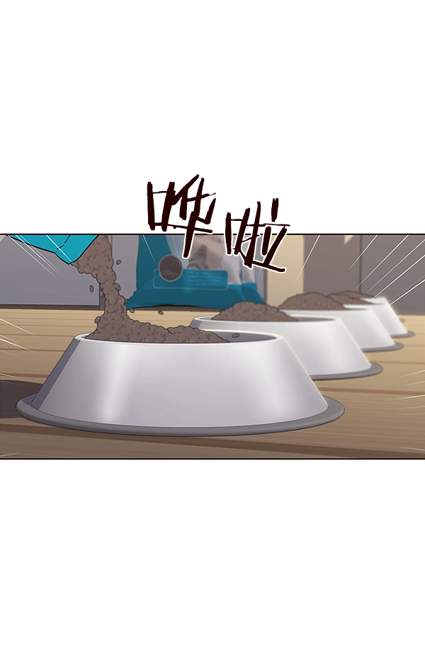 觉醒吧铲屎官漫画免费观看180话漫画,第37话1图