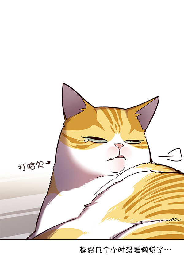 觉醒吧铲屎官小说漫画,第113话2图
