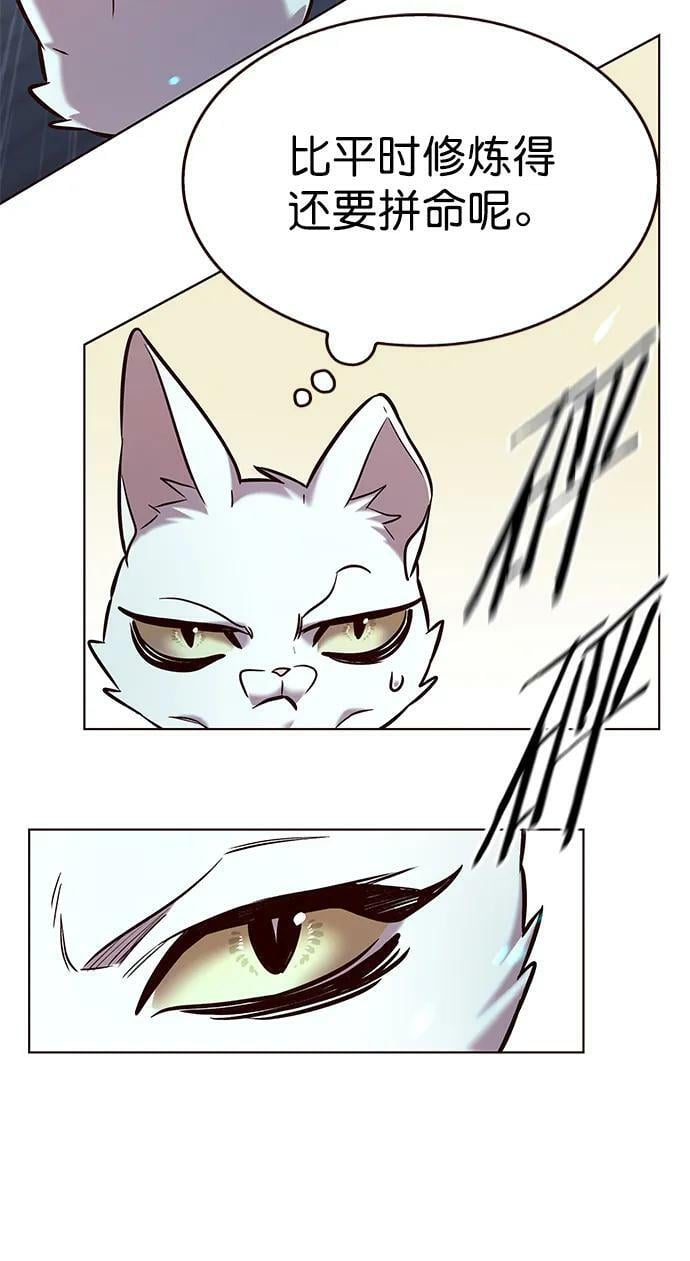 觉醒吧铲屎官漫画免费观看180话漫画,第241话1图