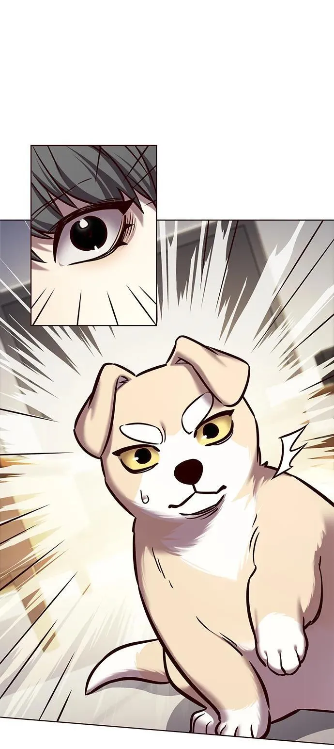 觉醒吧铲屎官漫画免费观看180话漫画,第280话2图