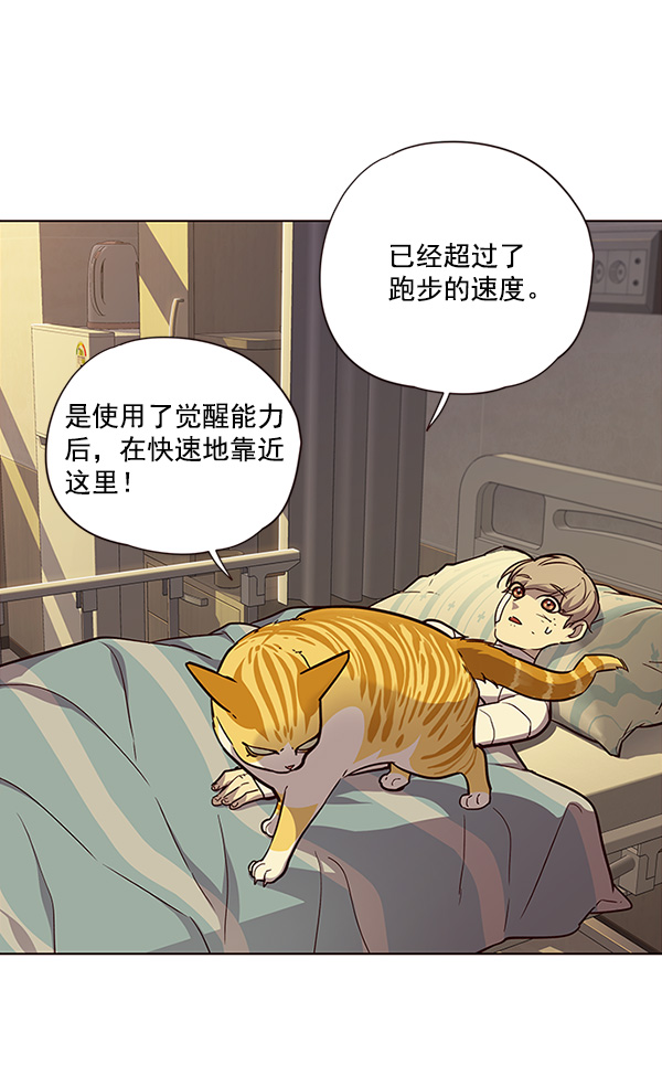 觉醒吧铲屎官漫画免费观看180话漫画,第29话2图