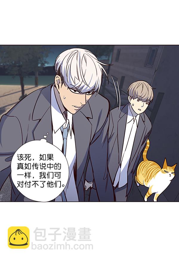 觉醒吧铲屎官漫画免费观看180话漫画,第42话2图