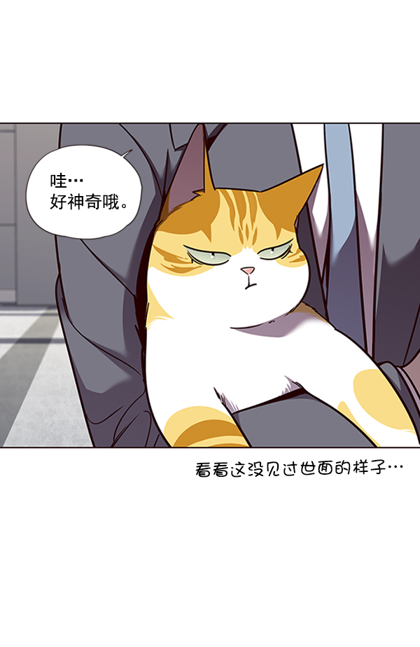 觉醒吧铲屎官335漫画,第53话1图