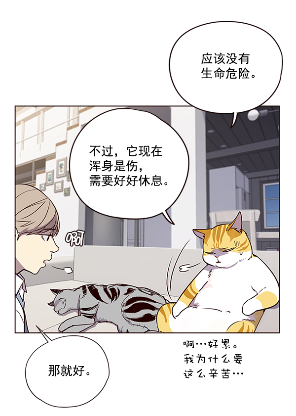 觉醒吧铲屎官150漫画,第6话1图