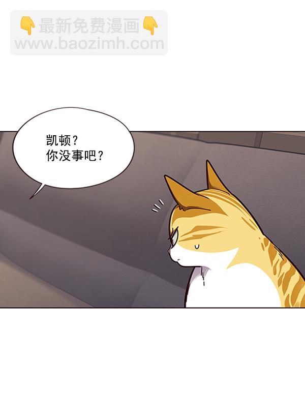 觉醒吧铲屎官335漫画,第65话1图