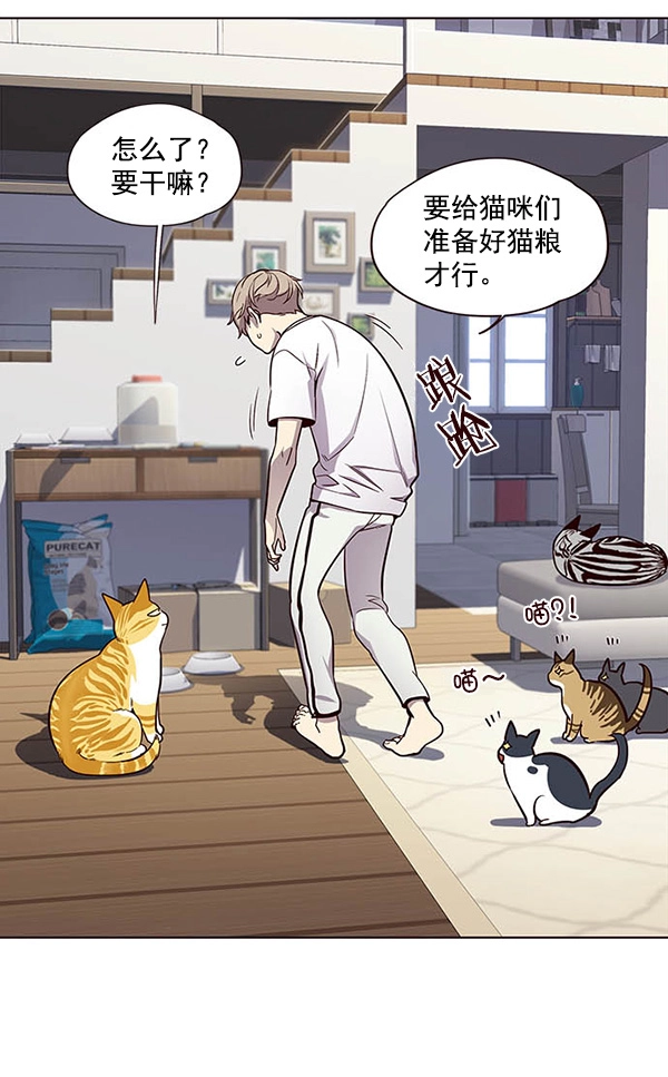 觉醒吧铲屎官335漫画,第22话2图
