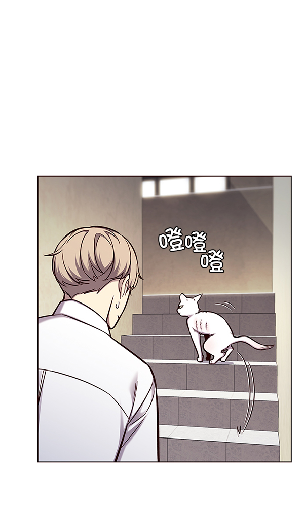 觉醒吧铲屎官335漫画,第144话1图