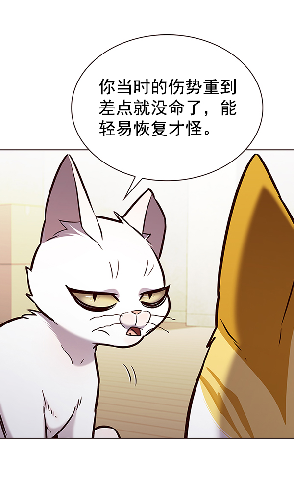 觉醒吧铲屎官免费全集在线观看漫画,第180话1图