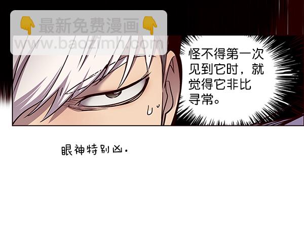 觉醒吧铲屎官漫画免费观看180话漫画,第46话1图