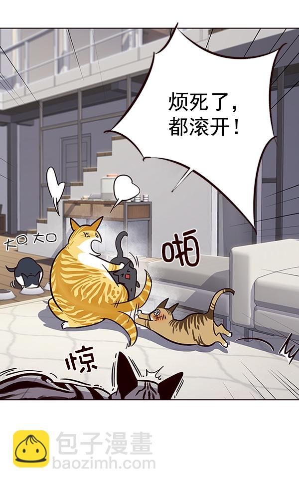 觉醒吧铲屎官漫画免费观看180话漫画,第37话2图